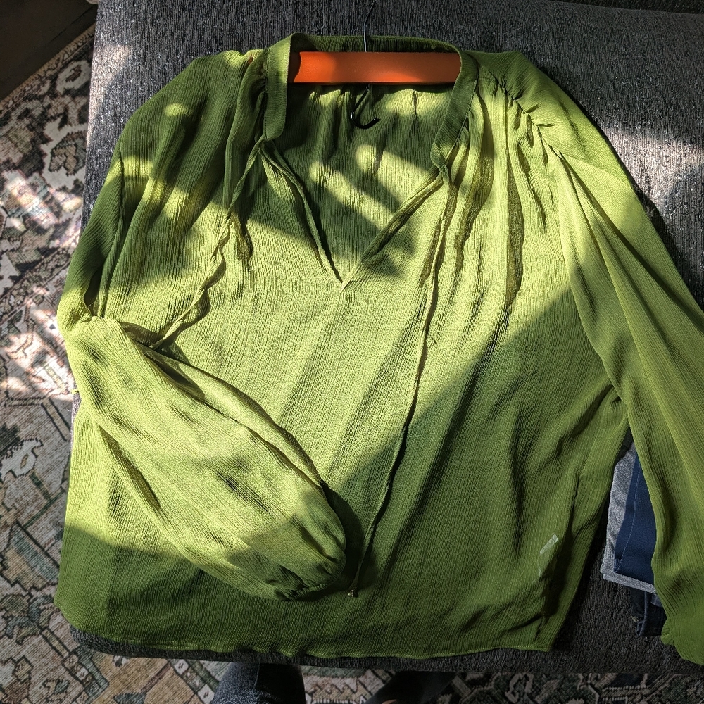 Sheer Zara Blouse